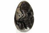 Septarian Dragon Egg Geode - Black Crystals #185629-1